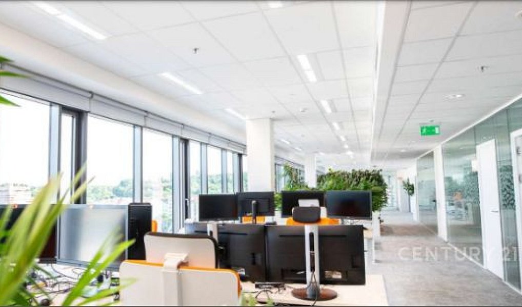 Pronájem kanceláře 390 m², Praha – náhled fotky 6