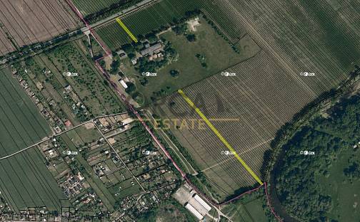 Prodej pole 1 097 m², Rohatec, okres Hodonín