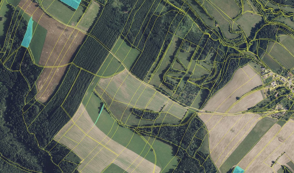 Prodej lesa 9 474 m², Zábřeh – náhled fotky 3