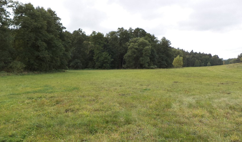 Prodej pole 58 887 m², Tachov – náhled fotky 4
