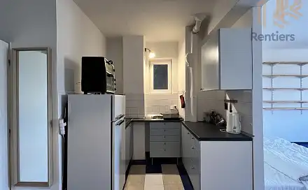 Pronájem bytu 1+kk 41 m²