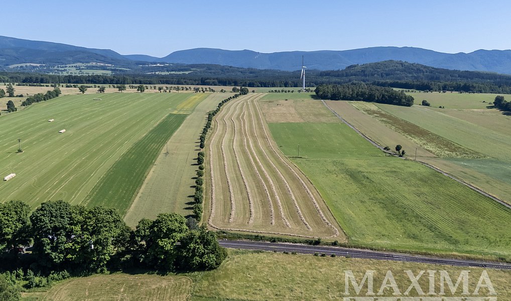 Prodej pole 54 591 m², Krásný Les – náhled fotky 3