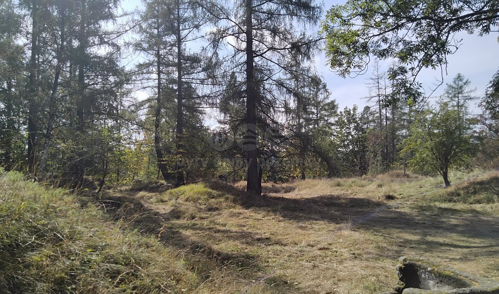 Prodej pozemku 13 529 m², Razová – náhled fotky 2