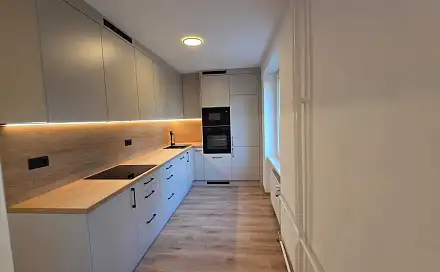 Pronájem bytu 2+1 54 m², Maxe Švabinského, Most