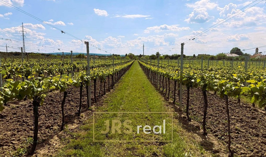 Prodej pole 3 474 m², Březí – náhled fotky 8