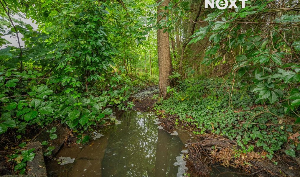 Prodej stavebního pozemku 3 456 m², Loštice – náhled fotky 5