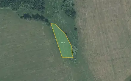 Prodej louky 5 637 m², Vítkov, okres Opava