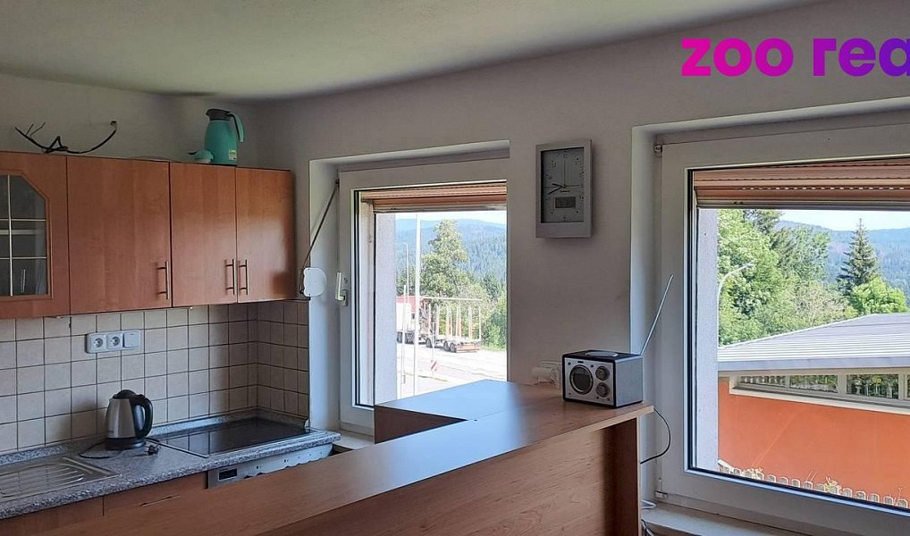 Prodej nájemního domu, činžáku 462 m², Strážný – náhled fotky 11