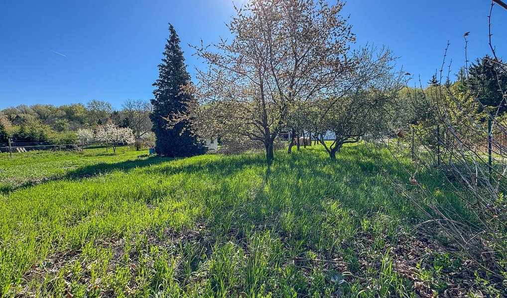 Prodej stavebního pozemku 743 m², Žatec – náhled fotky 8