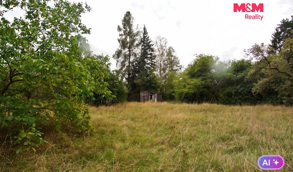 Prodej stavebního pozemku 2 828 m², Družec – náhled fotky 11