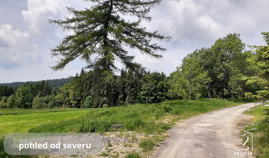 Prodej stavebního pozemku 2 479 m², Přední Výtoň – náhled fotky 5