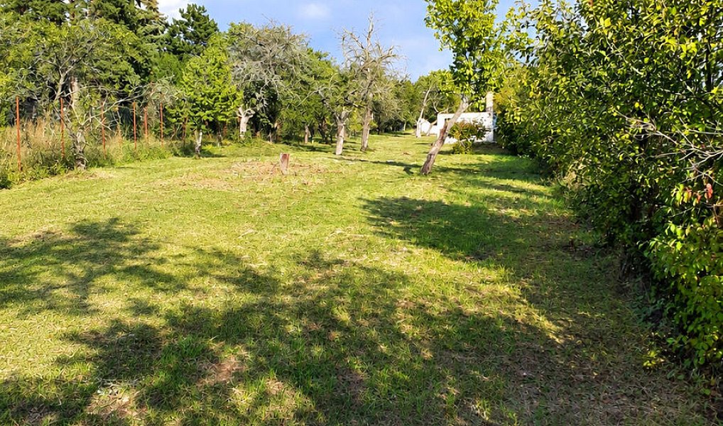 Prodej stavebního pozemku 2 114 m², Brno – náhled fotky 2
