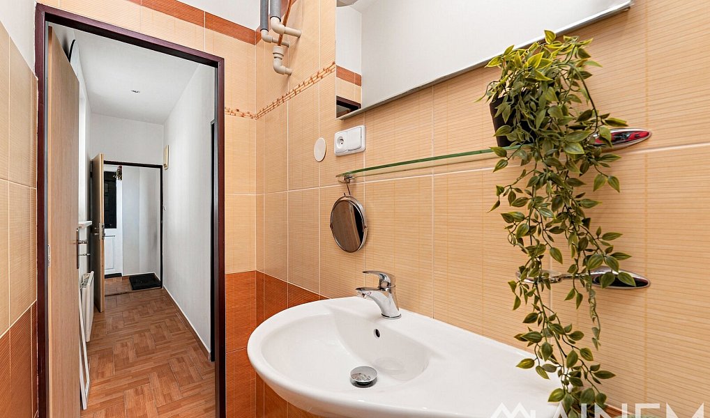 Prodej bytu 1+1 49 m², Plzeň – náhled fotky 10