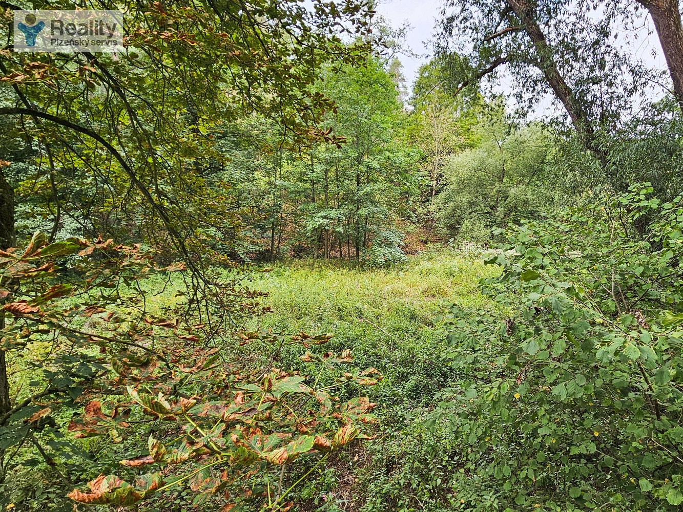Prodej louky 3 589 m² – fotografie 5