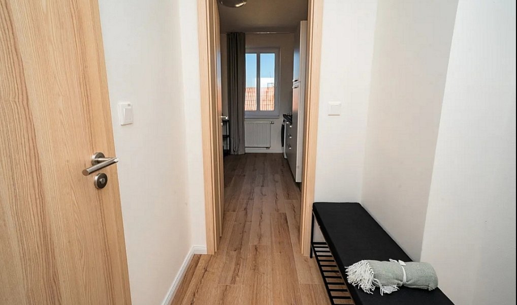 Pronájem bytu 1+1 35 m², Plzeň – náhled fotky 6