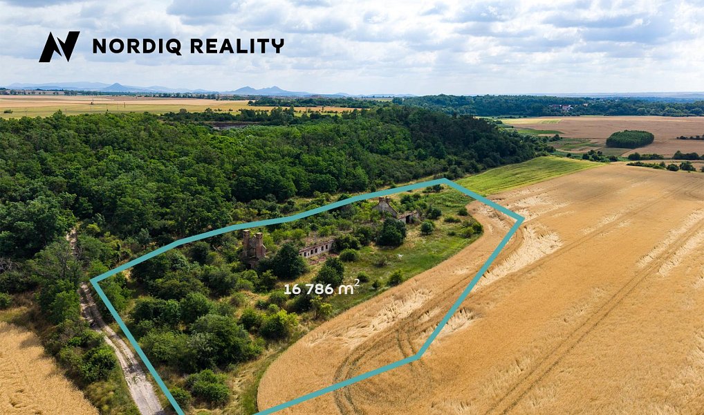 Prodej komerčního pozemku 16 786 m², Staňkovice – náhled fotky 2