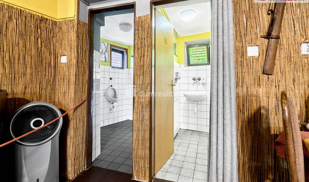 Prodej domu 380 m² s pozemkem 489 m², Jáchymov – náhled fotky 13