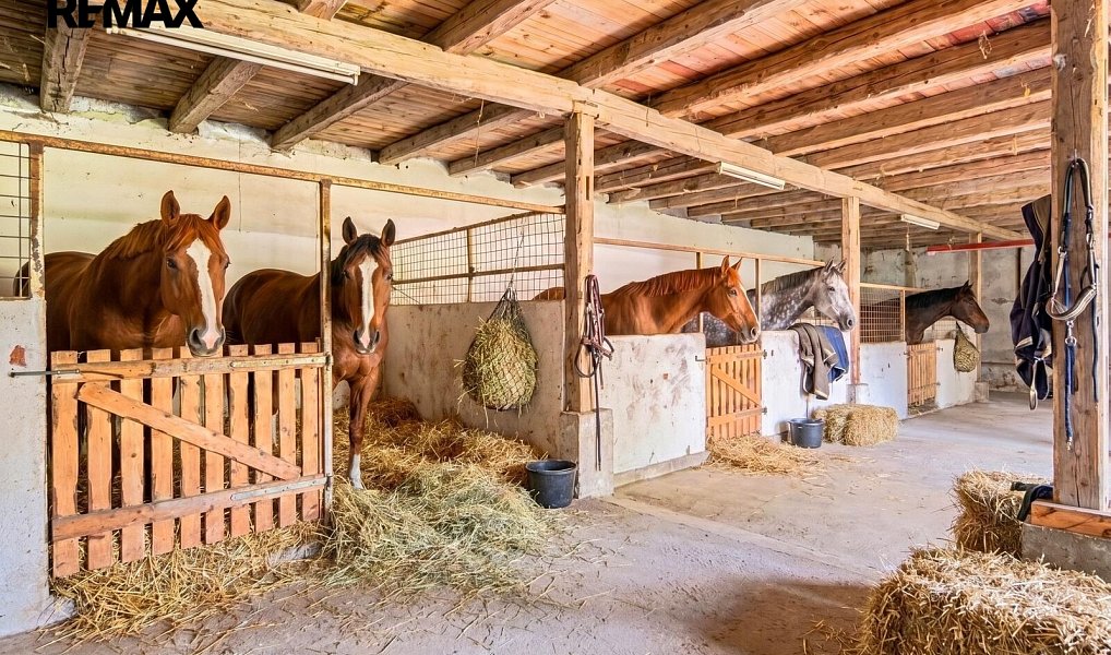 Prodej domu 1 230 m² s pozemkem 1 230 m², Velký Šenov – náhled fotky 2