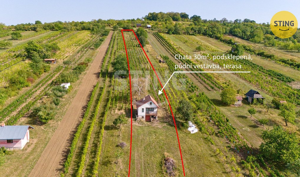 Prodej chaty/chalupy 42 m² s pozemkem 5 902 m², Strážnice – náhled fotky 6