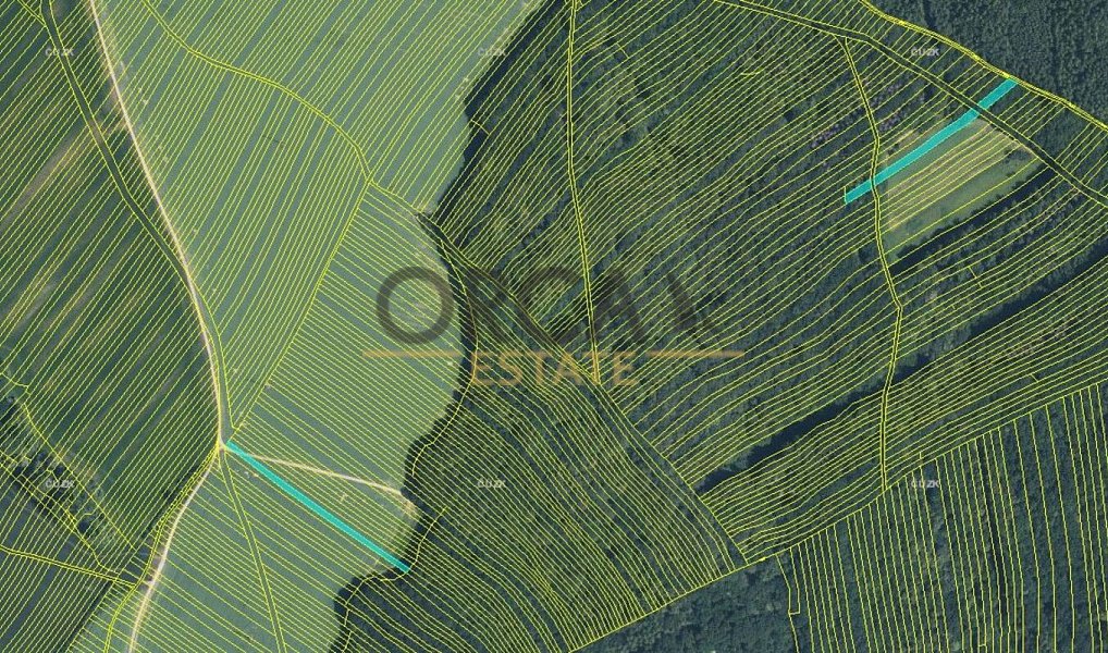 Prodej pole 6 356 m², Mistřice – náhled fotky 4