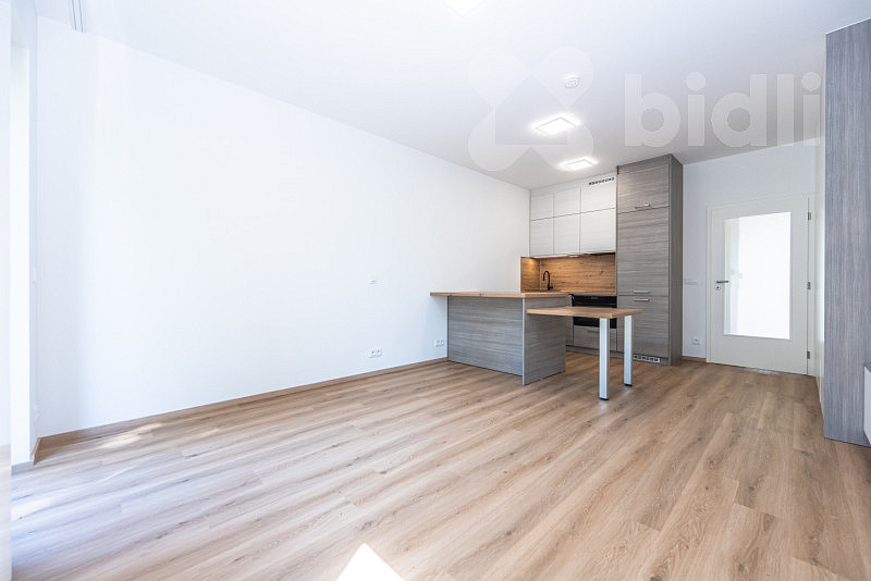 Pronájem bytu 1+kk 34 m² — photo 5