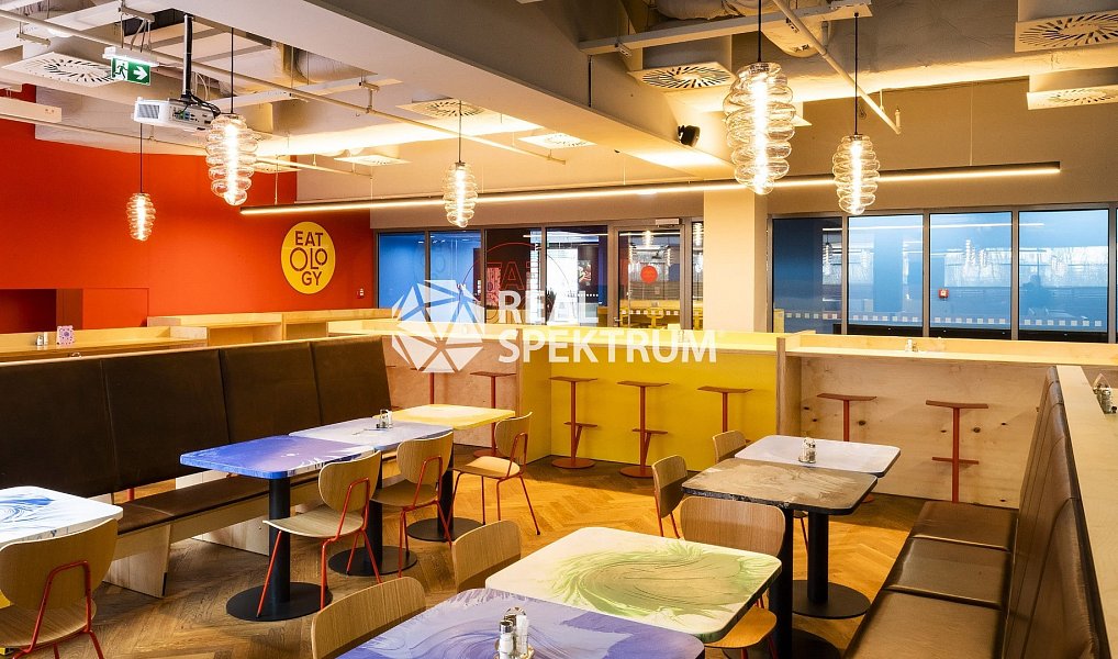 Pronájem kanceláře 240 m², Brno – náhled fotky 19