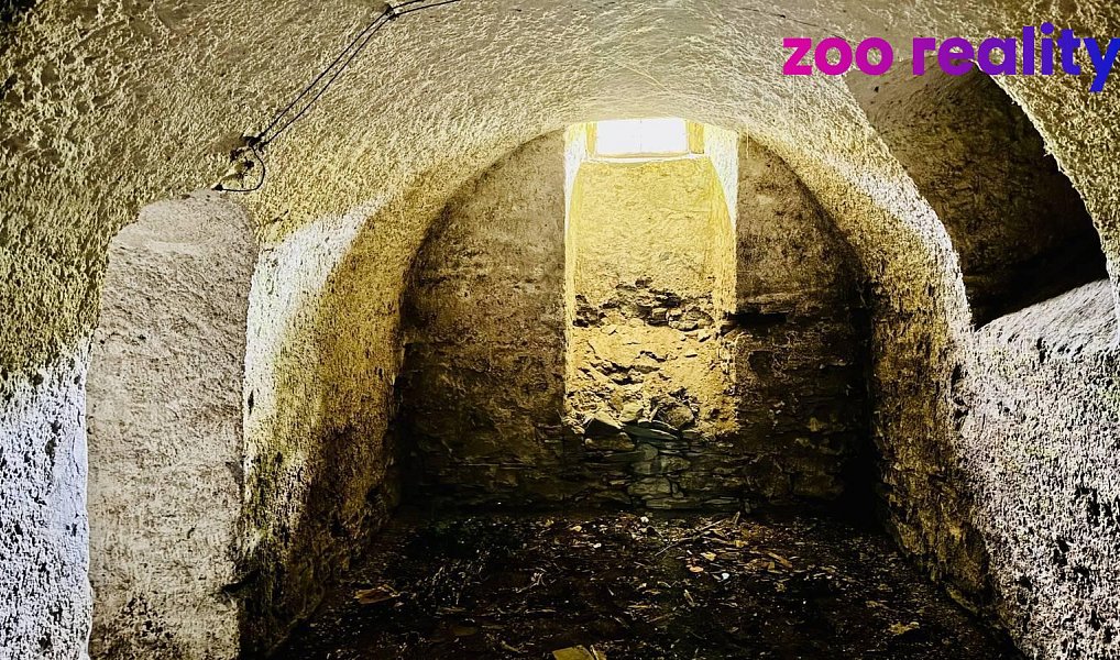 Prodej domu 360 m² s pozemkem 584 m², Rožmitál na Šumavě – náhled fotky 20
