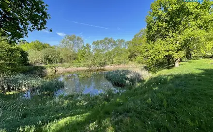 Prodej vodní plochy 1 618 m², Hrejkovice - Níkovice, okres Písek