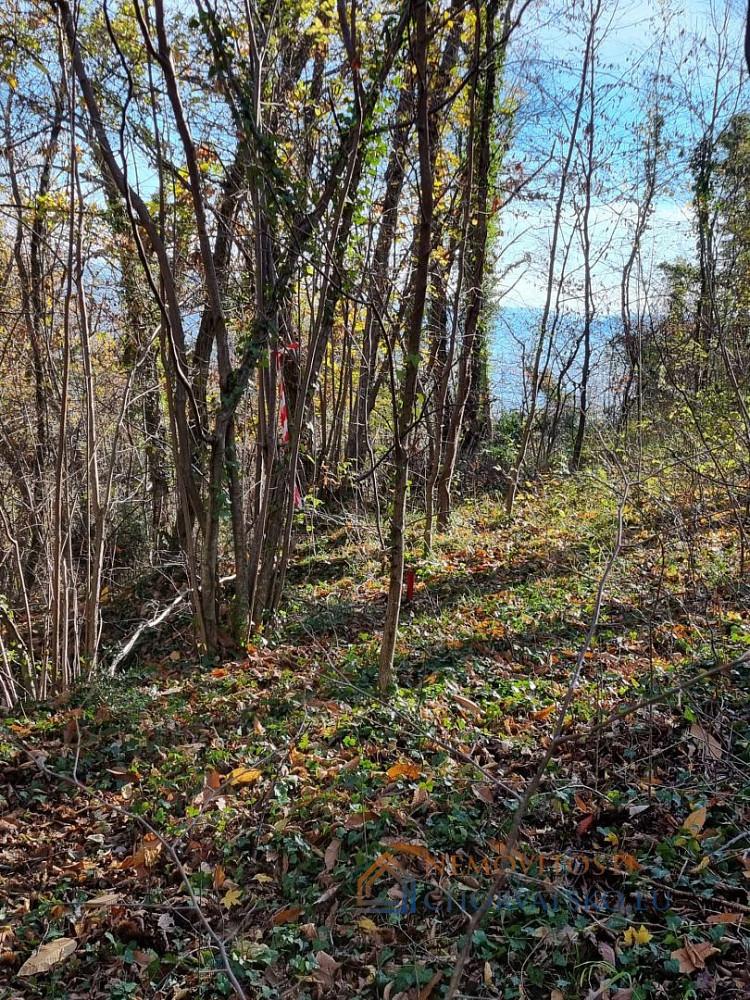 Prodej stavebního pozemku 17 500 m² - Ansicht 2