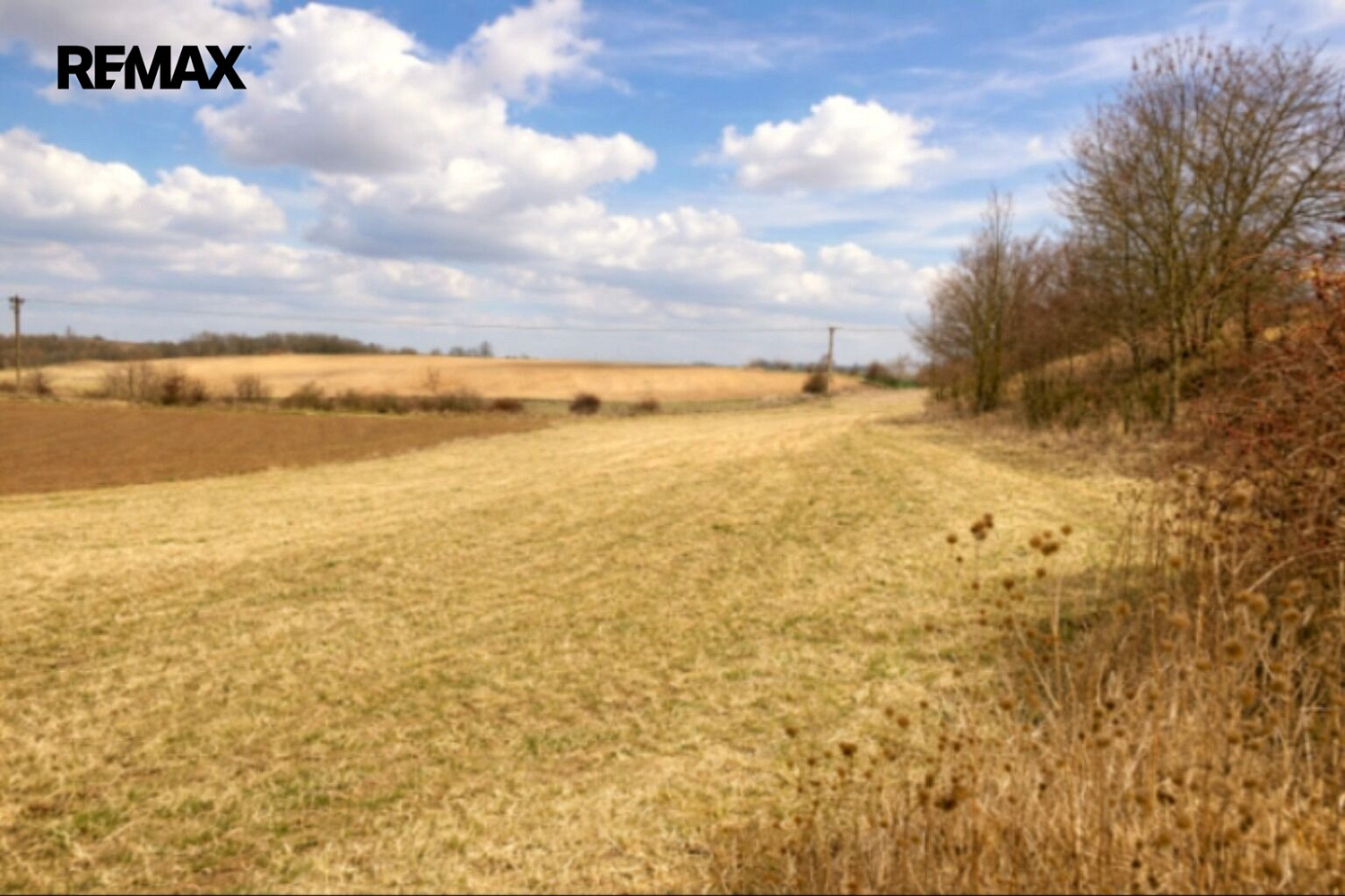 Prodej pole 6 121 m² – fotografie 4