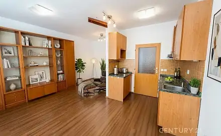 Pronájem bytu 1+kk 29 m²