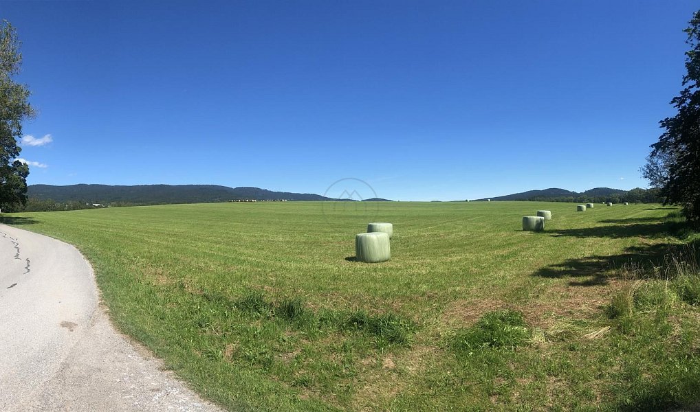 Prodej pole 92 549 m², Horní Planá – náhled fotky 4