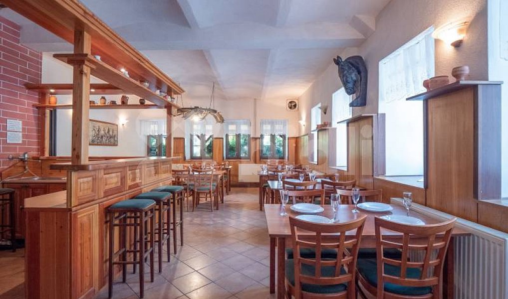 Prodej stavebního pozemku 115 385 m², Dolní Moravice – náhled fotky 10