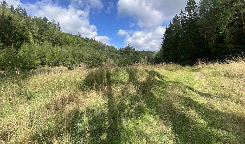 Prodej pole 7 068 m², Krsy – náhled fotky 2