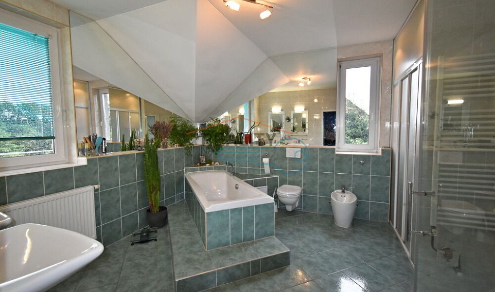 Prodej domu 170 m² s pozemkem 815 m², Vodochody – náhled fotky 28