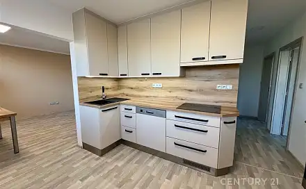 Pronájem bytu 3+1 73 m²