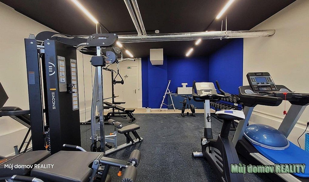 Pronájem bytu 1+kk 22 m², Praha – náhled fotky 8
