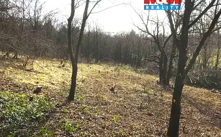 Prodej zahrady 782 m², Postoloprty - Mradice, okres Louny