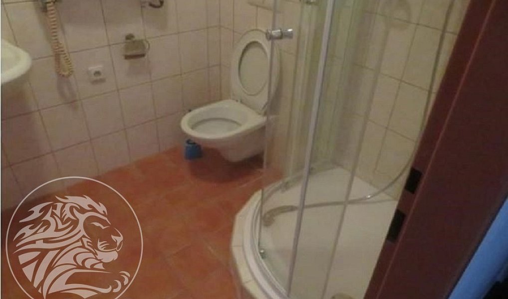 Prodej komerčního objektu (jiného typu) 2 957 m², Moravský Krumlov – náhled fotky 22
