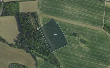 Prodej pole 11 756 m², Petříkov - Radimovice, okres Praha-východ