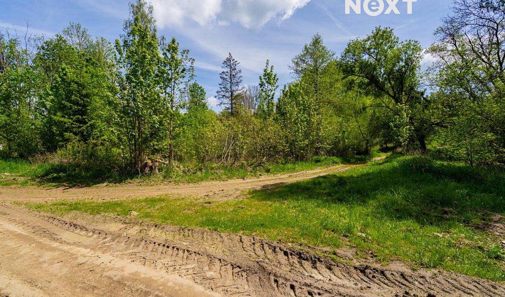 Prodej pozemku 18 124 m², Přídolí – náhled fotky 5