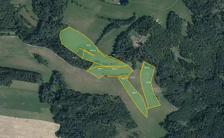 Prodej louky 51 772 m², Postřelmůvek, okres Šumperk