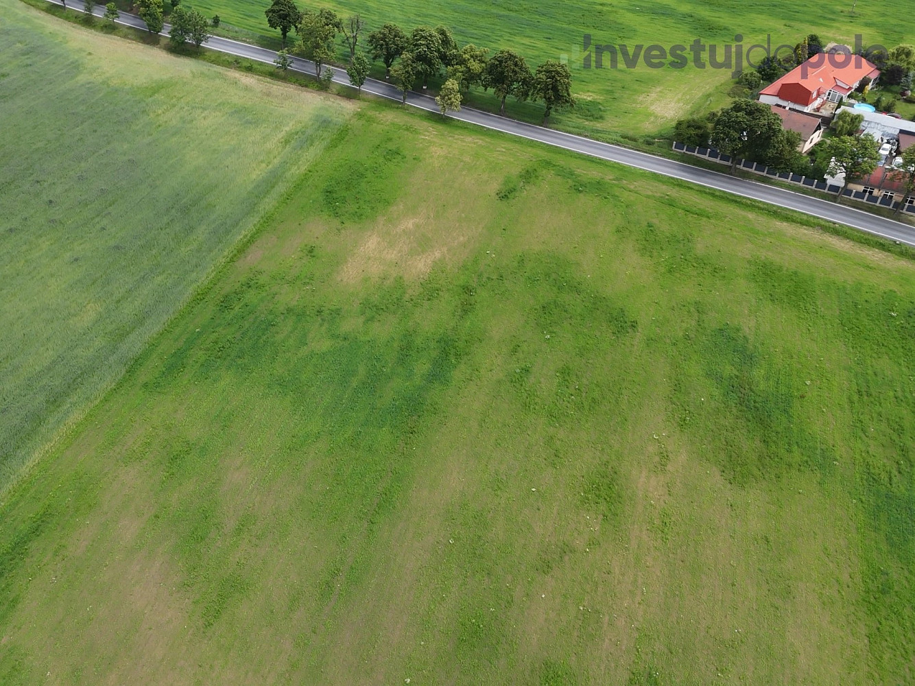 Prodej pole 74 010 m² – fotografie 5