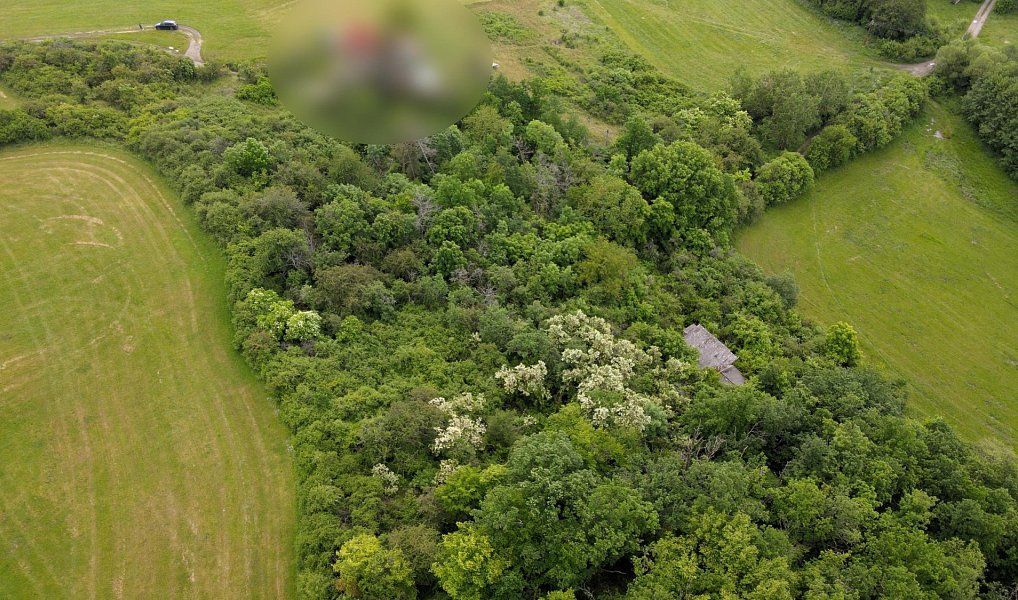 Prodej stavebního pozemku 1 000 m², Vráž – náhled fotky 13