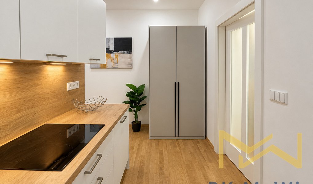 Pronájem bytu 2+1 55 m², Praha – náhled fotky 9