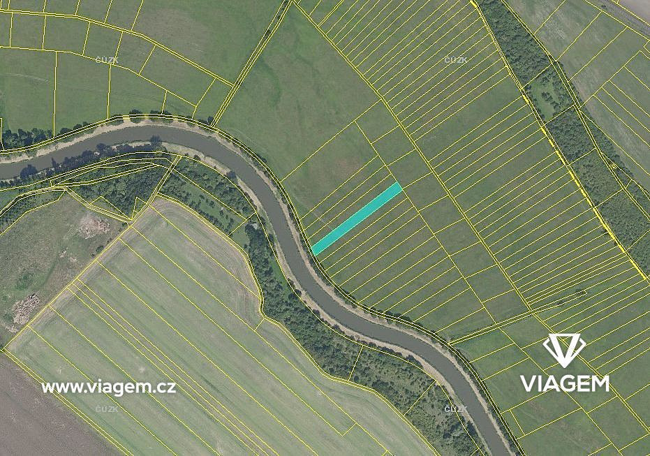 Prodej pole 2 124 m² – fotografie 3