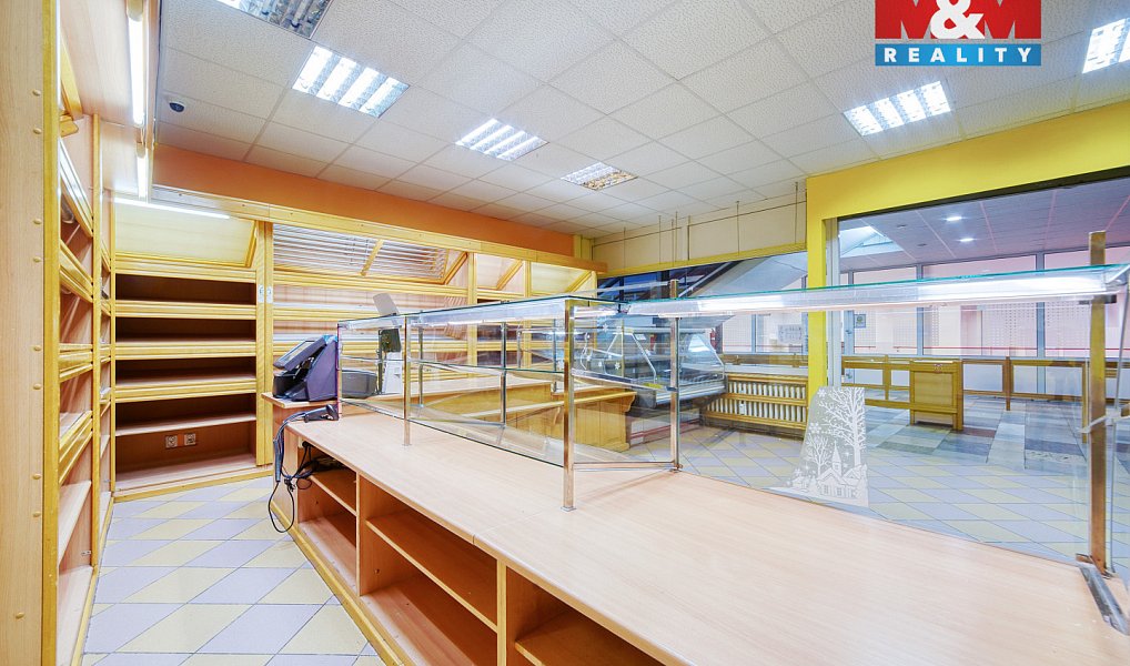 Pronájem obchodních prostor 86 m², Třemošná – náhled fotky 13