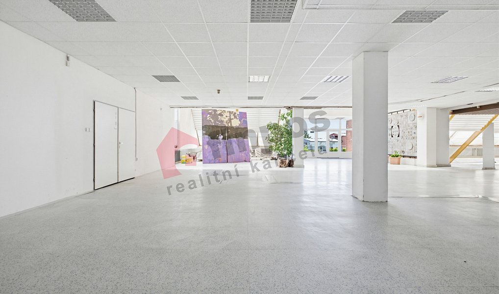 Pronájem obchodních prostor 194 m², Tábor – náhled fotky 9