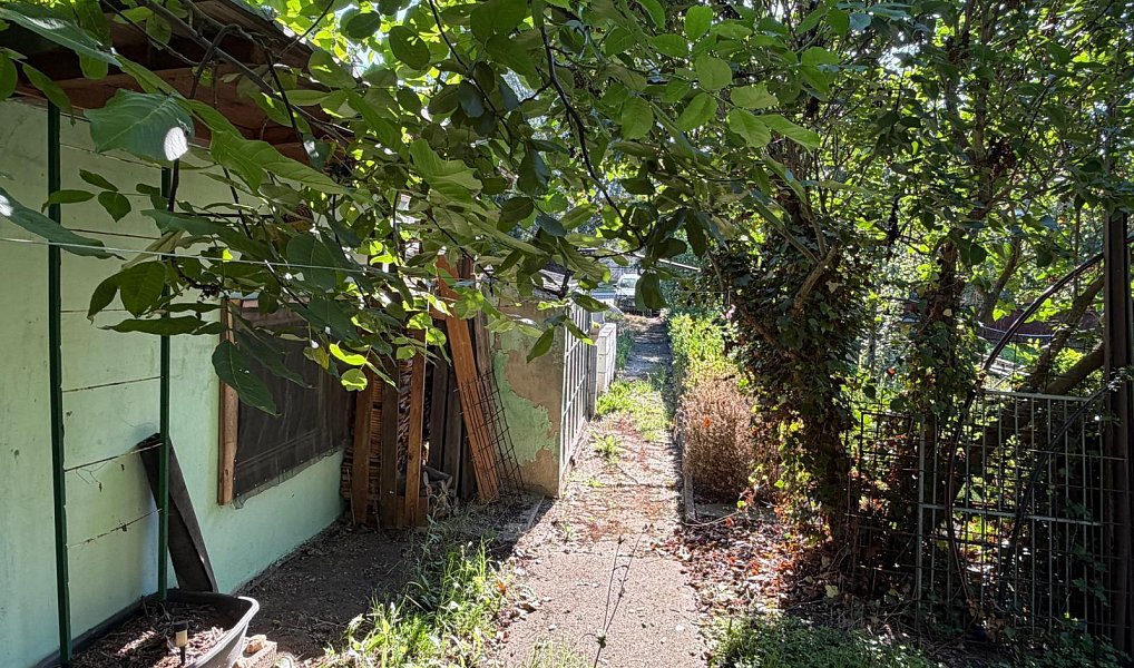 Prodej zahrady 513 m², Havraň – náhled fotky 5