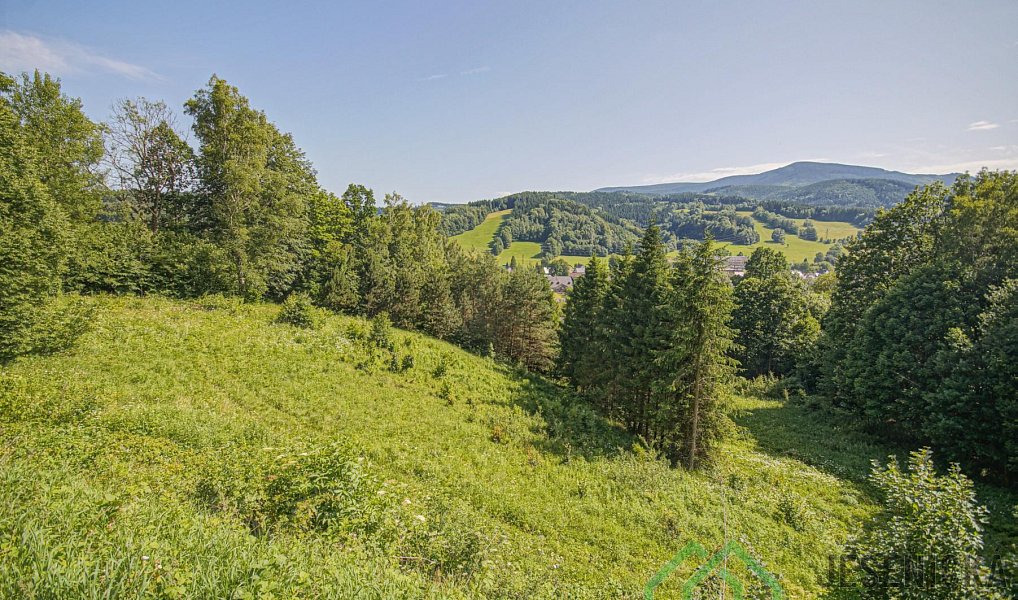 Prodej pole 12 392 m², Lipová-lázně – náhled fotky 9